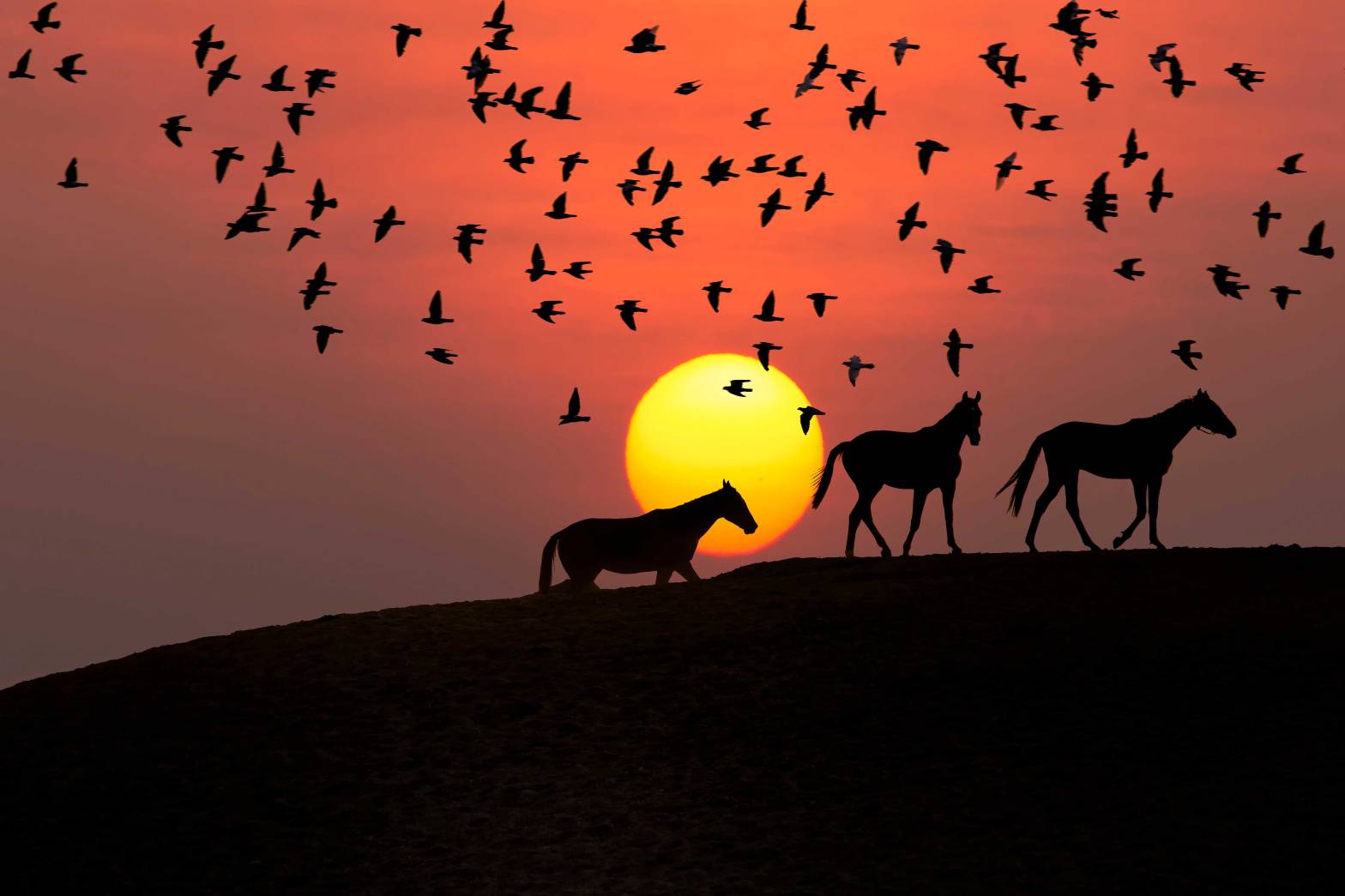 unitedarabemirates